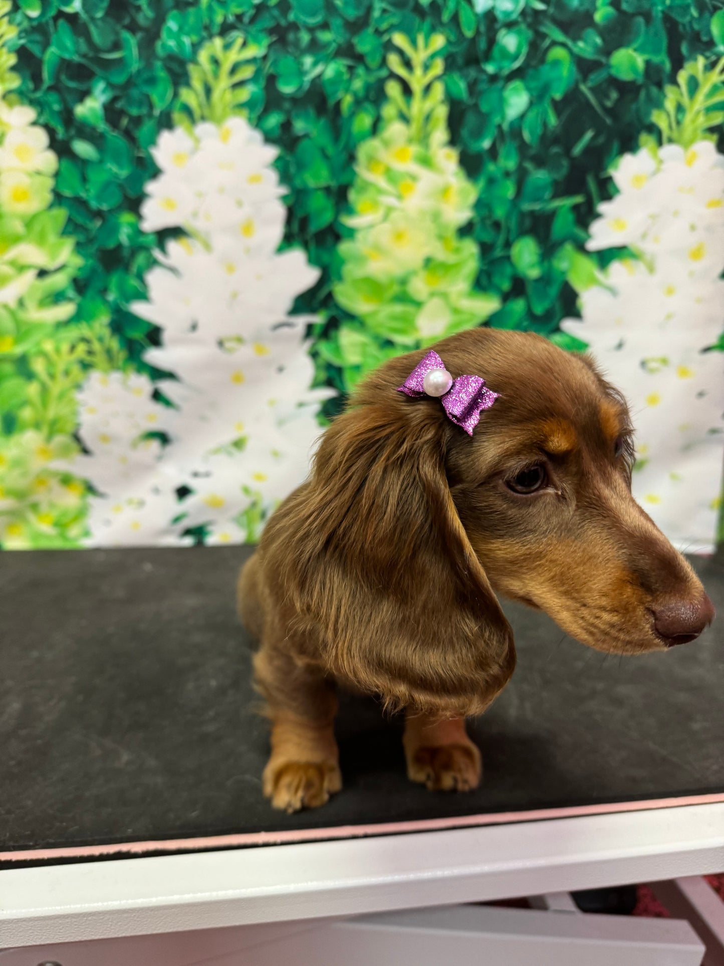 Small Pearl Sticker Bow