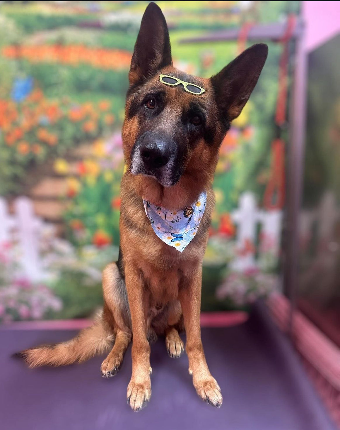 Unissex Sunglasses Sticker