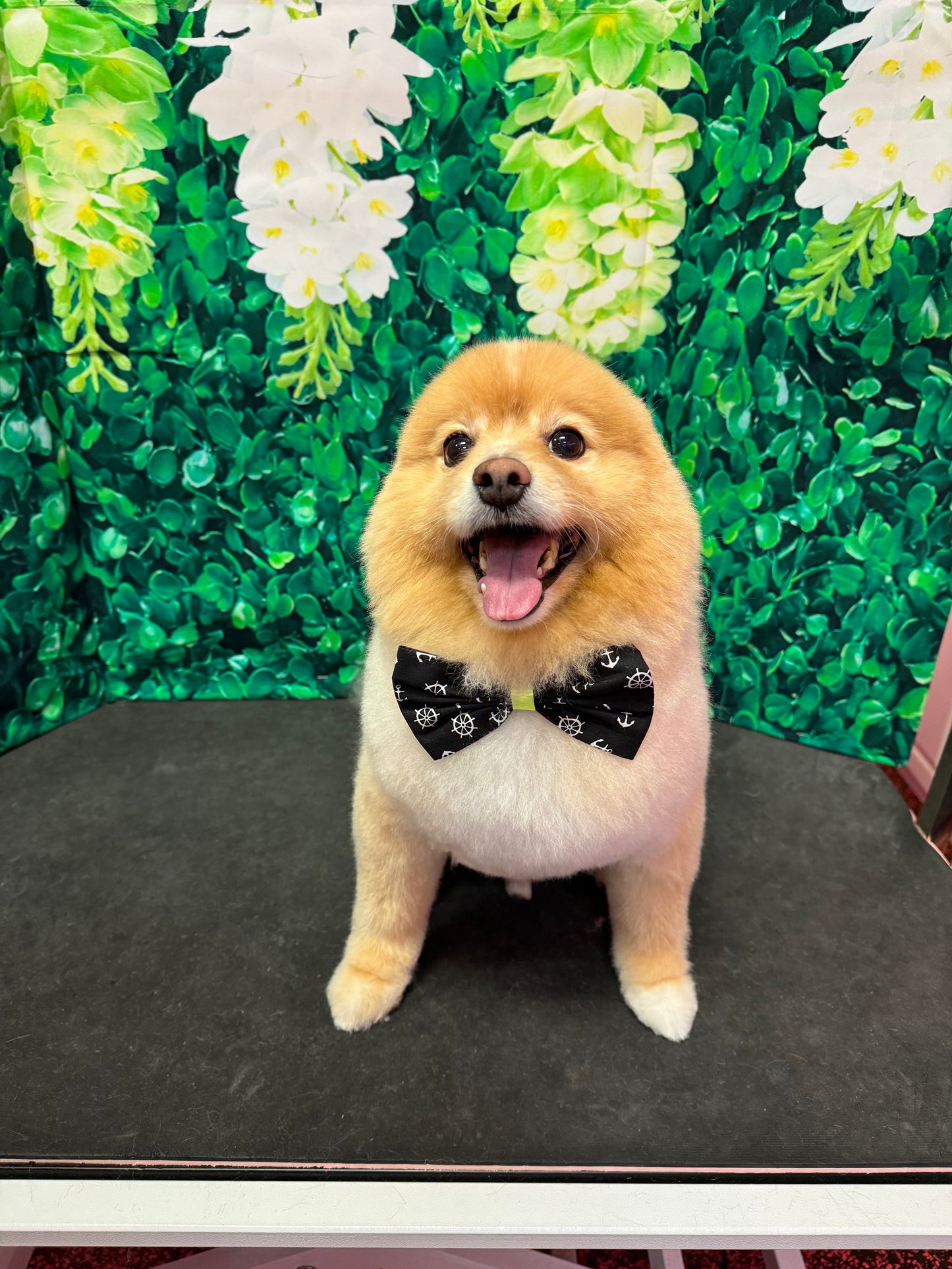 Fabric Bow Tie